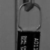 Dual Channel Padlock Seal